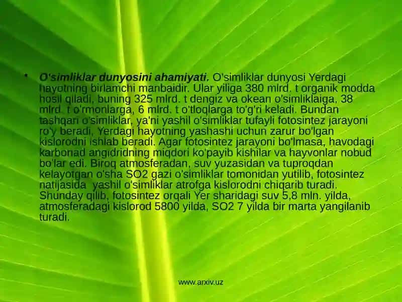 O'simliklar dunyosini muhofaza qilish 3