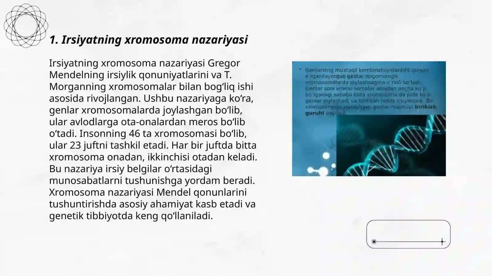Irsiyatning xromosoma nazariyasi 3