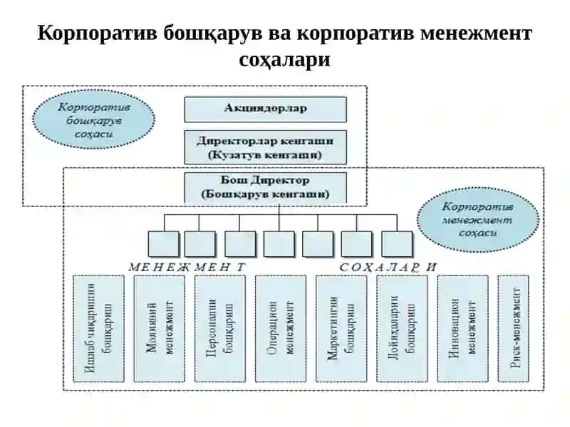 Корпоратив бошқарув органлари. Кузатув кенгаши ва ижроия органи 3