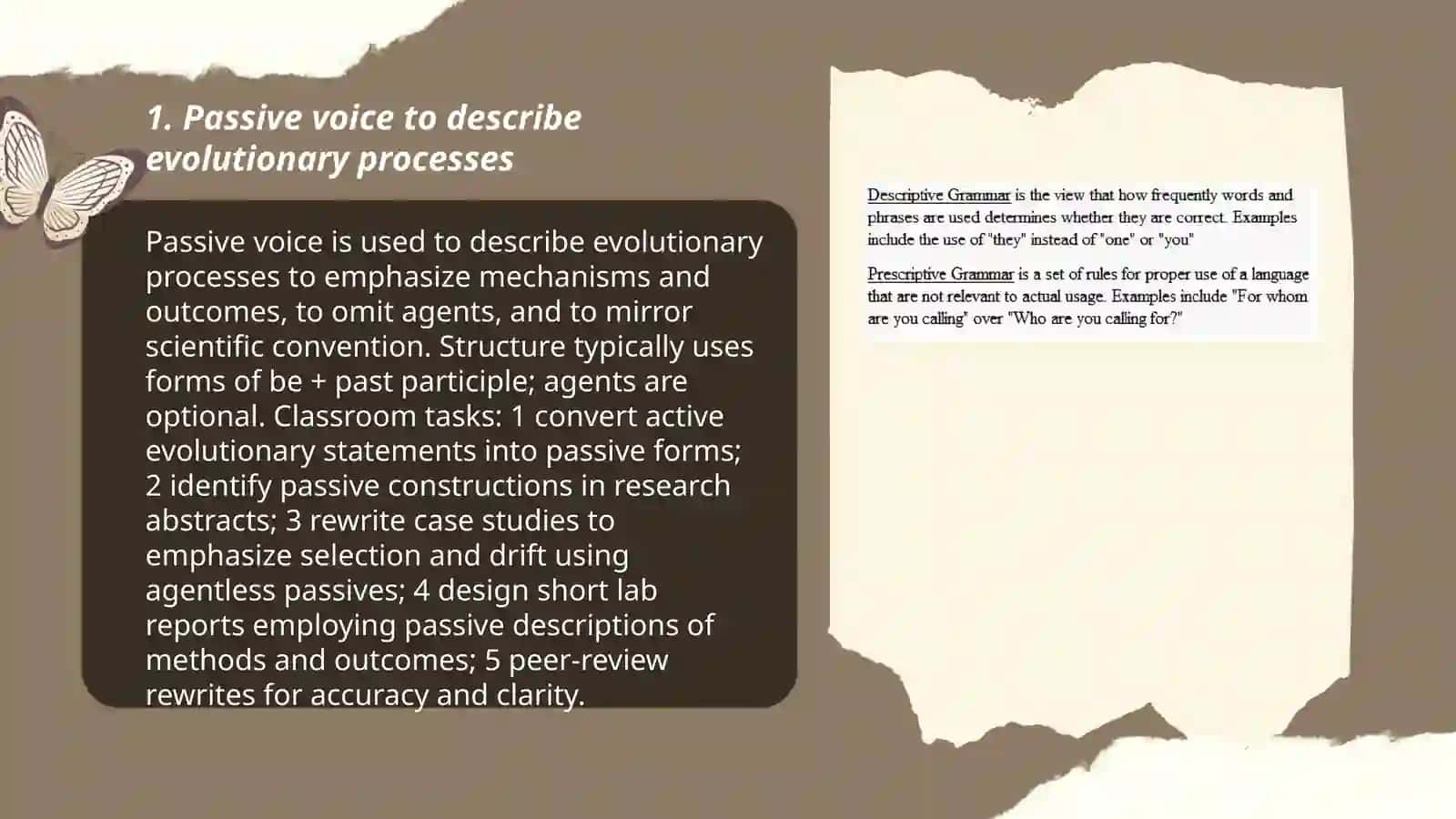 Evolution grammar activities 3