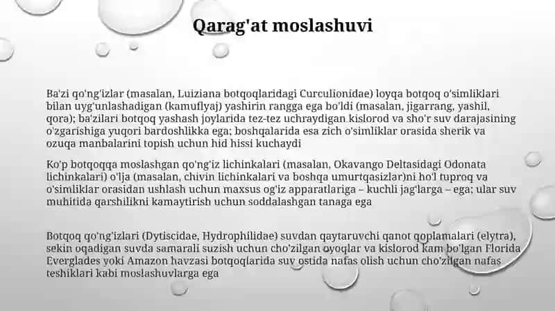 Botqoq Oziq-Ovqat Zanjirlari va Hasharotlarning Roli 3