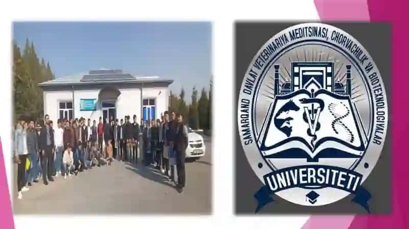 KAMOLOV ISMATILLONING MALAKAVIY AMALIYOTDAN TAYYORLAGAN TAQDIMOTI 3