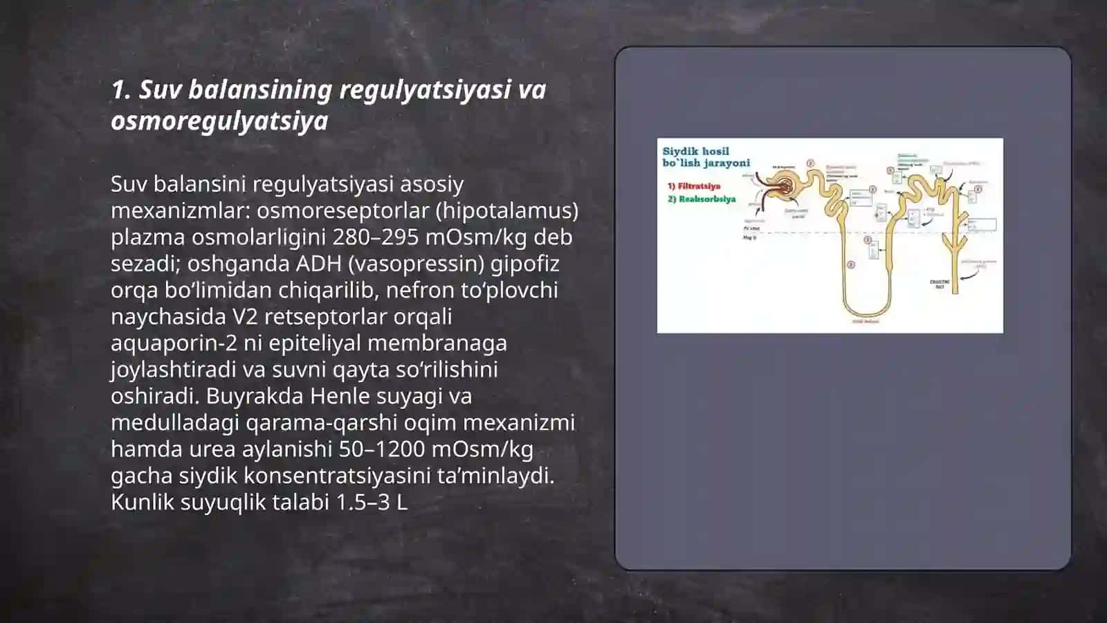 Suv va minerallar almashinuvi. Buyraklarning funksiyasi. Siydik Boboqulova Nafisa 201-guruh 3