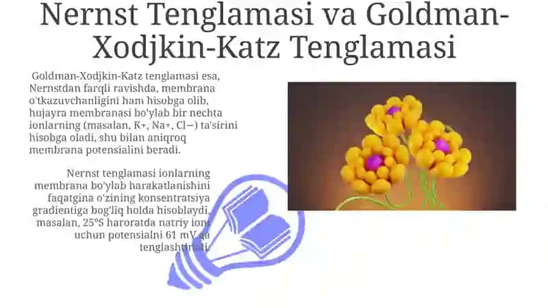 Hujayra Membranasida Biopotensiallarning Hosil Bo'lishi 3