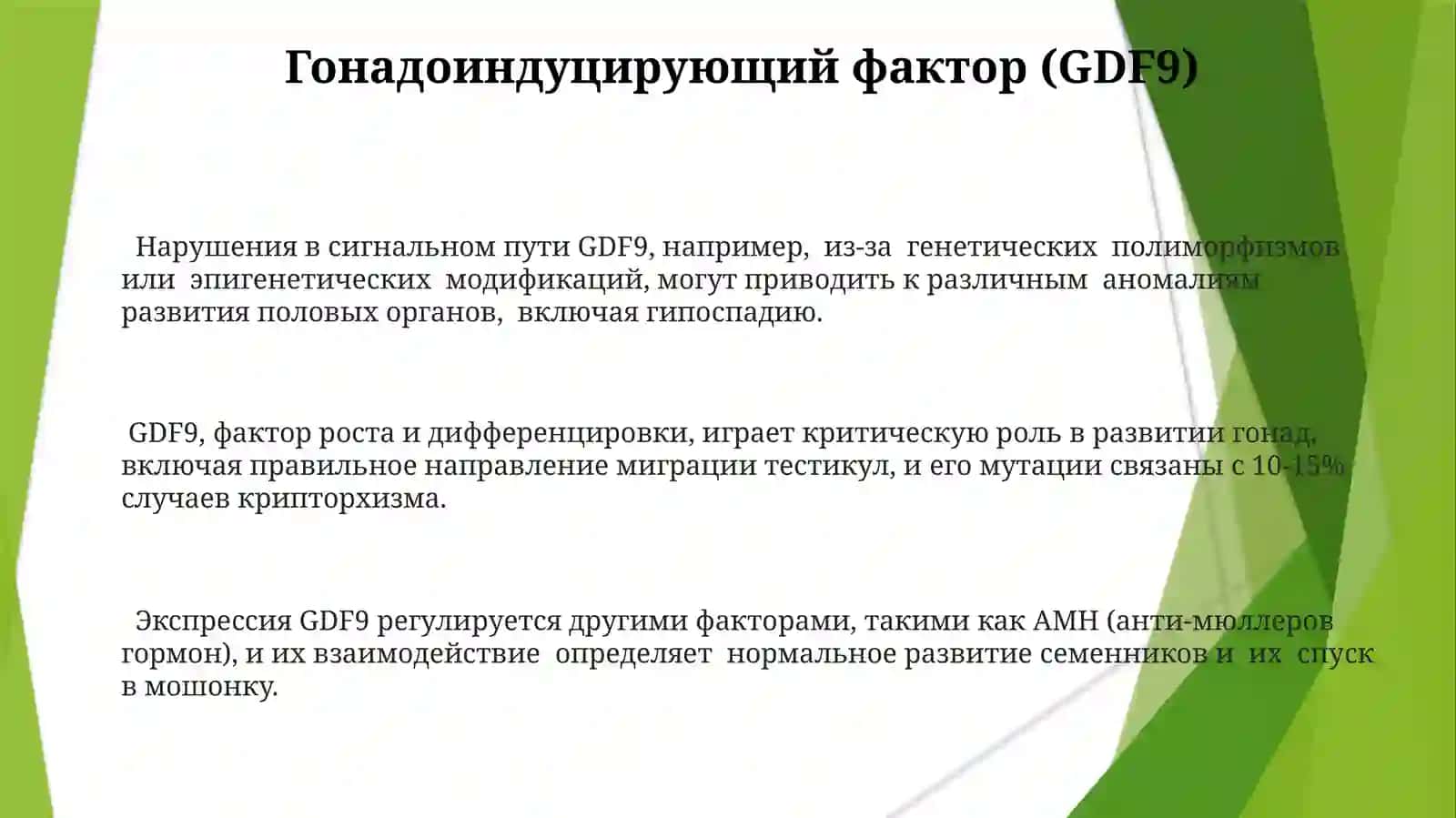 Процесс опускания яичек в мошонку и пороки развития половых органов 3