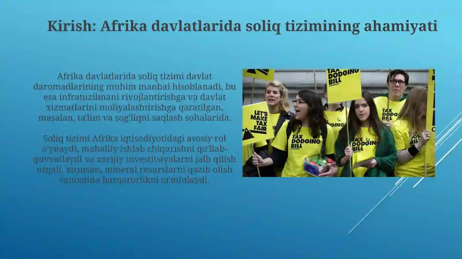 Afrika davlatlarida soliq tizimi 3