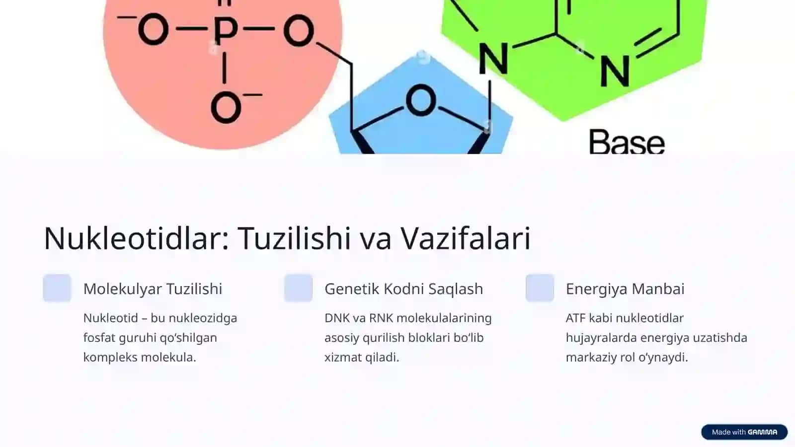 Nukleozidlar va Nukleotidlar: Tuzilishi, Molekulyar Tarkibi va Biokimyoviy Xossalari 3