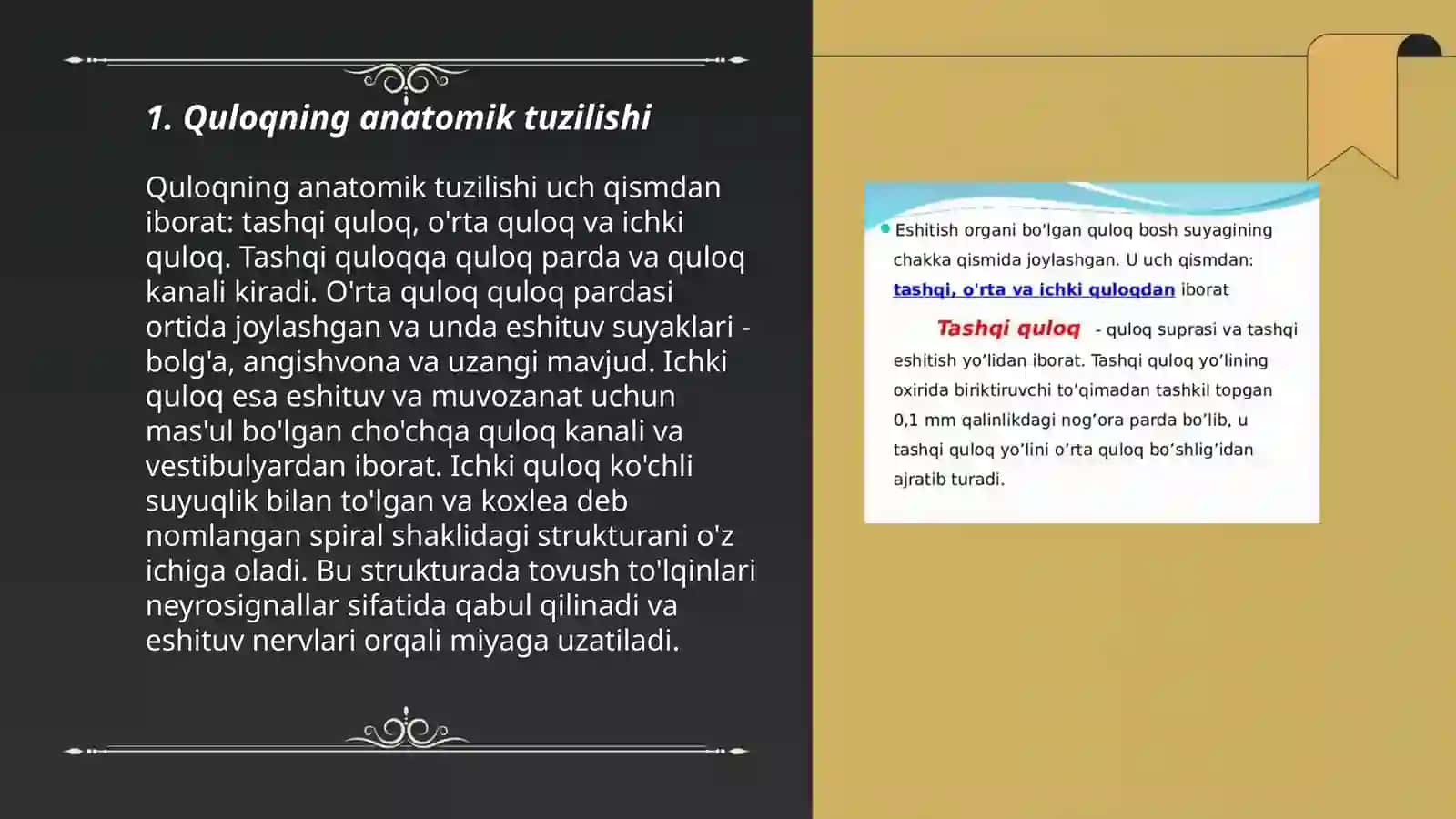 Eshitish aʼzosining tuzulishi fiziologiyasi va boshqarish markazlari 3