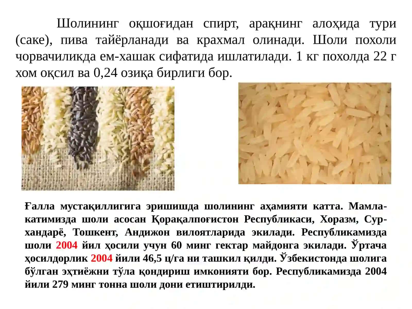 Шоли систематикаси ва морфологияси 3