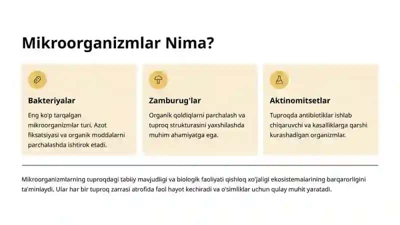 Tuproq Unimdorligini Oshirishda Mikroorganizmlardan Foydalanish 3