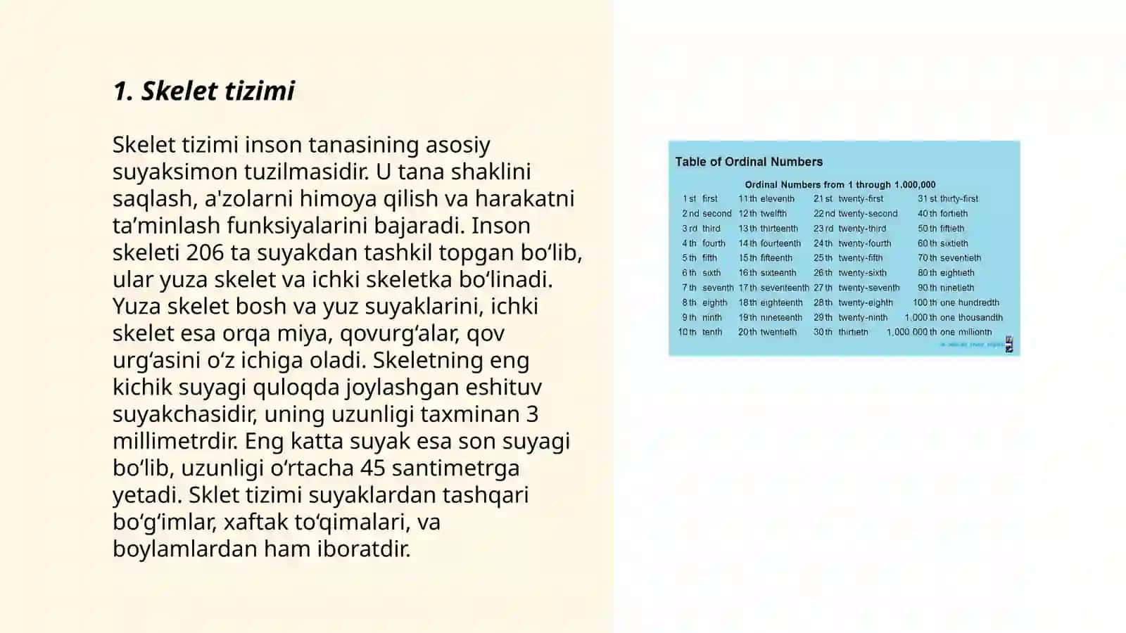 Skelet tizimi 3