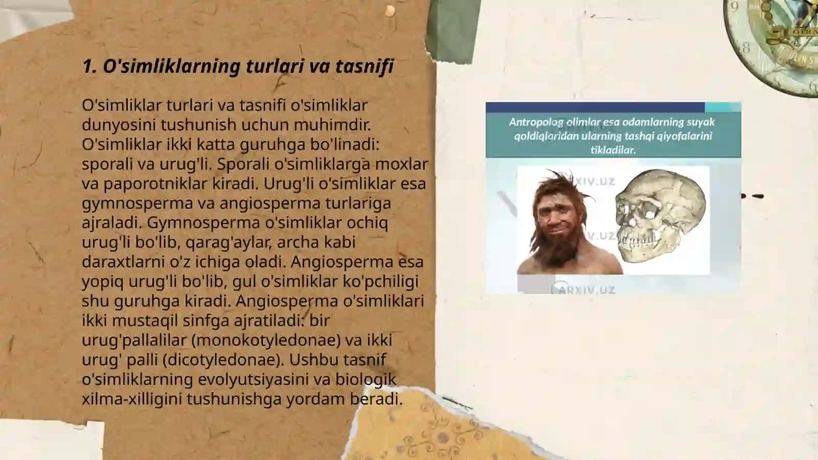 O'simlik dunyosi va hayot tarzi 3