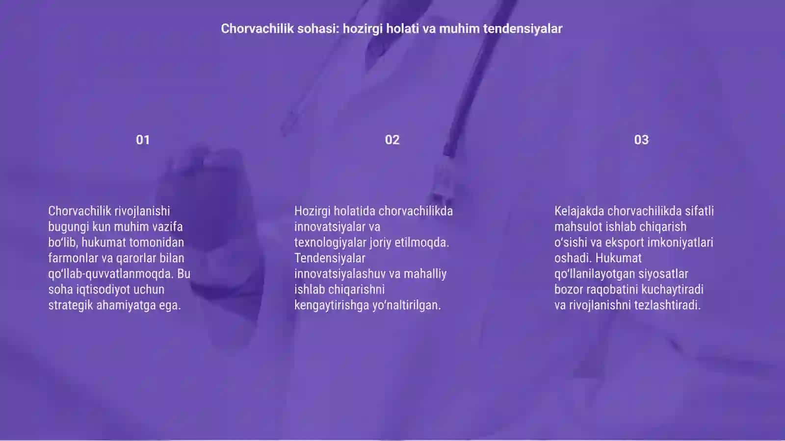 Chorvachilik rivojlantirish istiqbollari va bugungi kunda hukumatimiz tomonidan chiqariladigan farmonlar, qarorlar hamda boshqa hujjatlar 3
