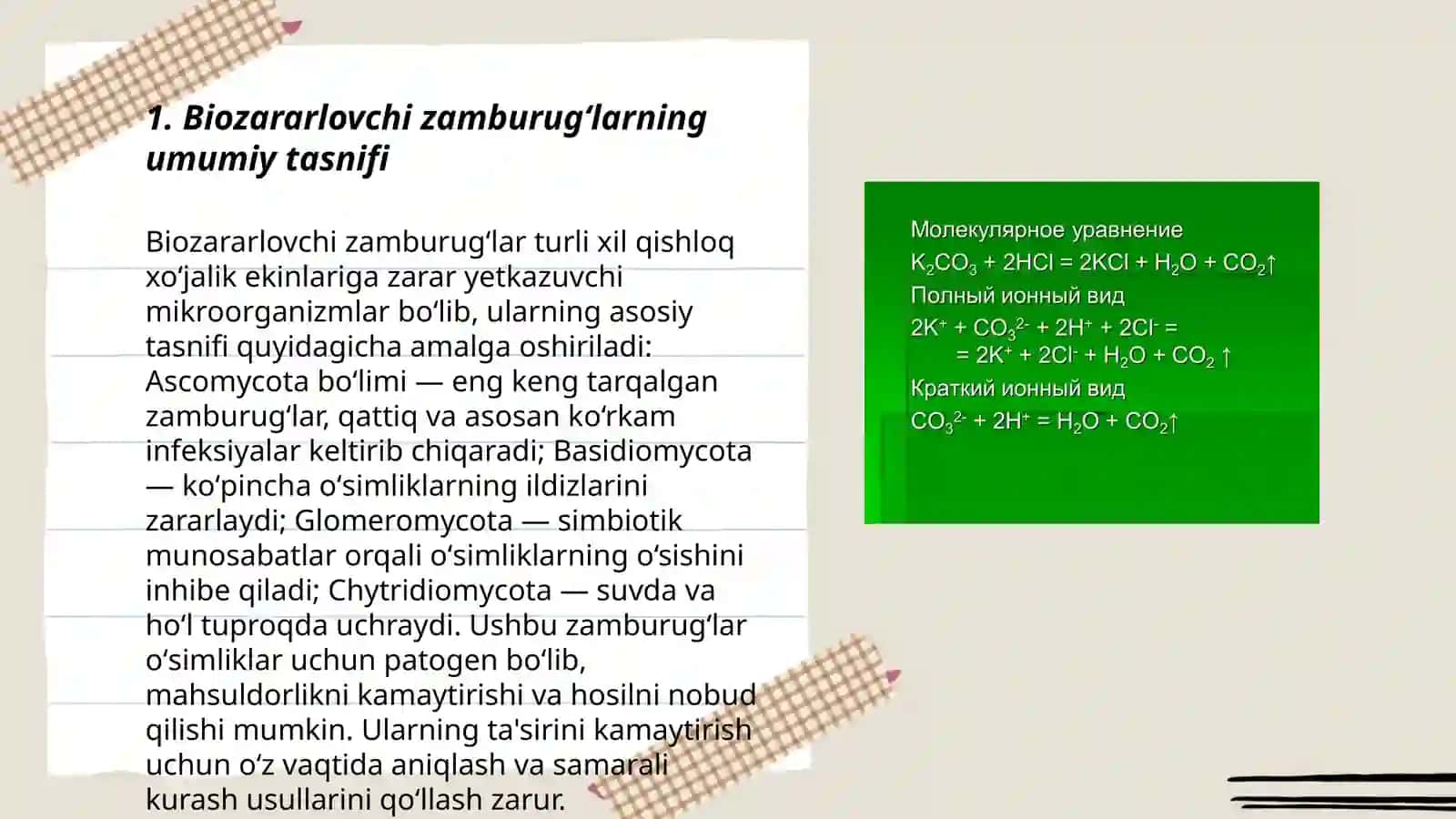 Biozararlovchi zamburugʻlar klassifikatsiyasi 3