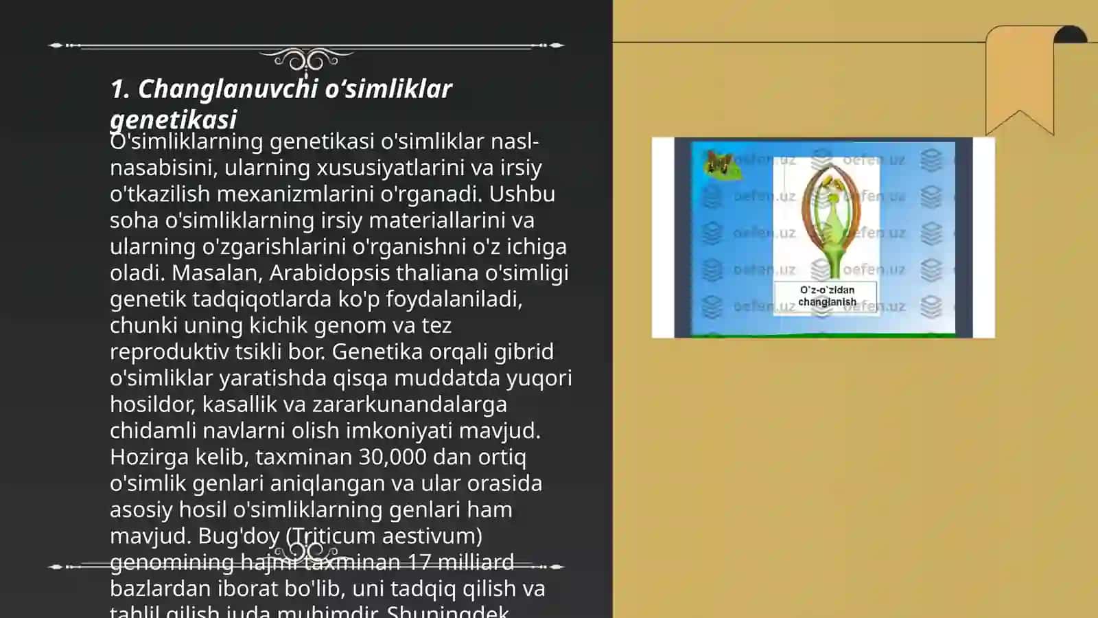 Changlanuvchi oʻsimliklar genetikasi 3