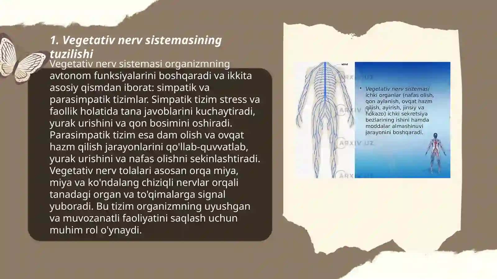 Vegetativ nerv sistemasi faoliyatini o'rganish 3