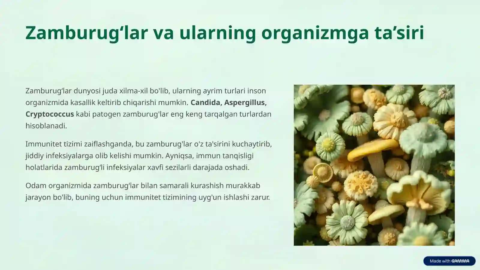 Zamburug‘li kasalliklarda immunitet javob reaksiyasi 3