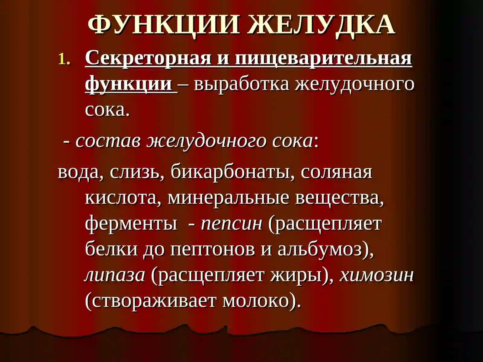 ПИЩЕВАРИТЕЛЬНАЯ СИСТЕМА. ЖЕЛУДОК. ТОНКИЙ И ТОЛСТЫЙ КИШЕЧНИК 3