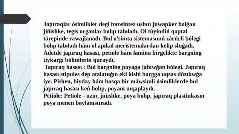 Japıraq marfalogiyasi tuzulishi 3