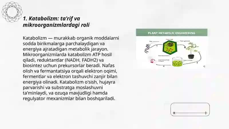 Katabolik metabolizm. Mikrob hujayrasi tomonidan energiya olish usullari, turlari 3