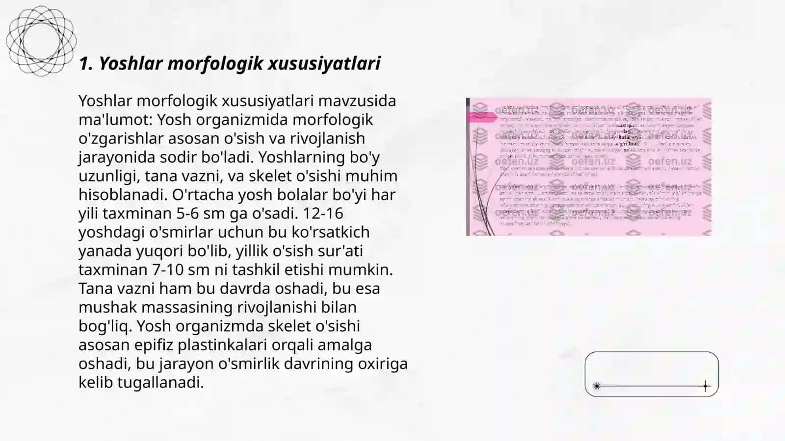 Yoshlik davrlarining morfologik va fiziologik xususiyatlari 3