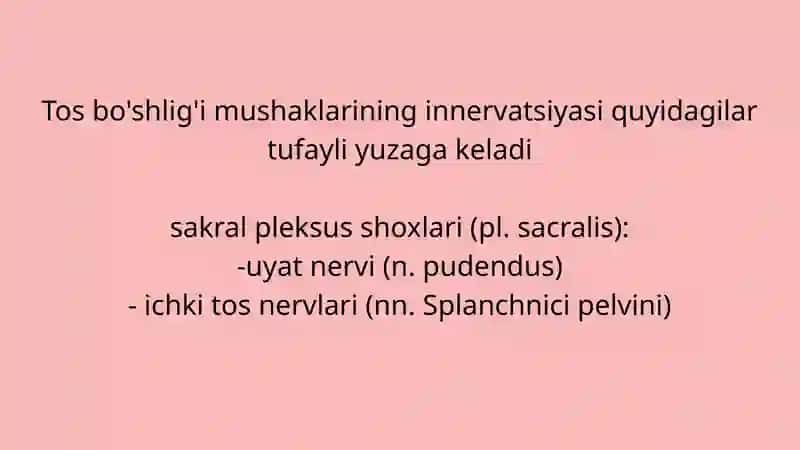 TOS ORGANLARI INNERVATSIYASI VA BUZILISH SINDROMLARI 3