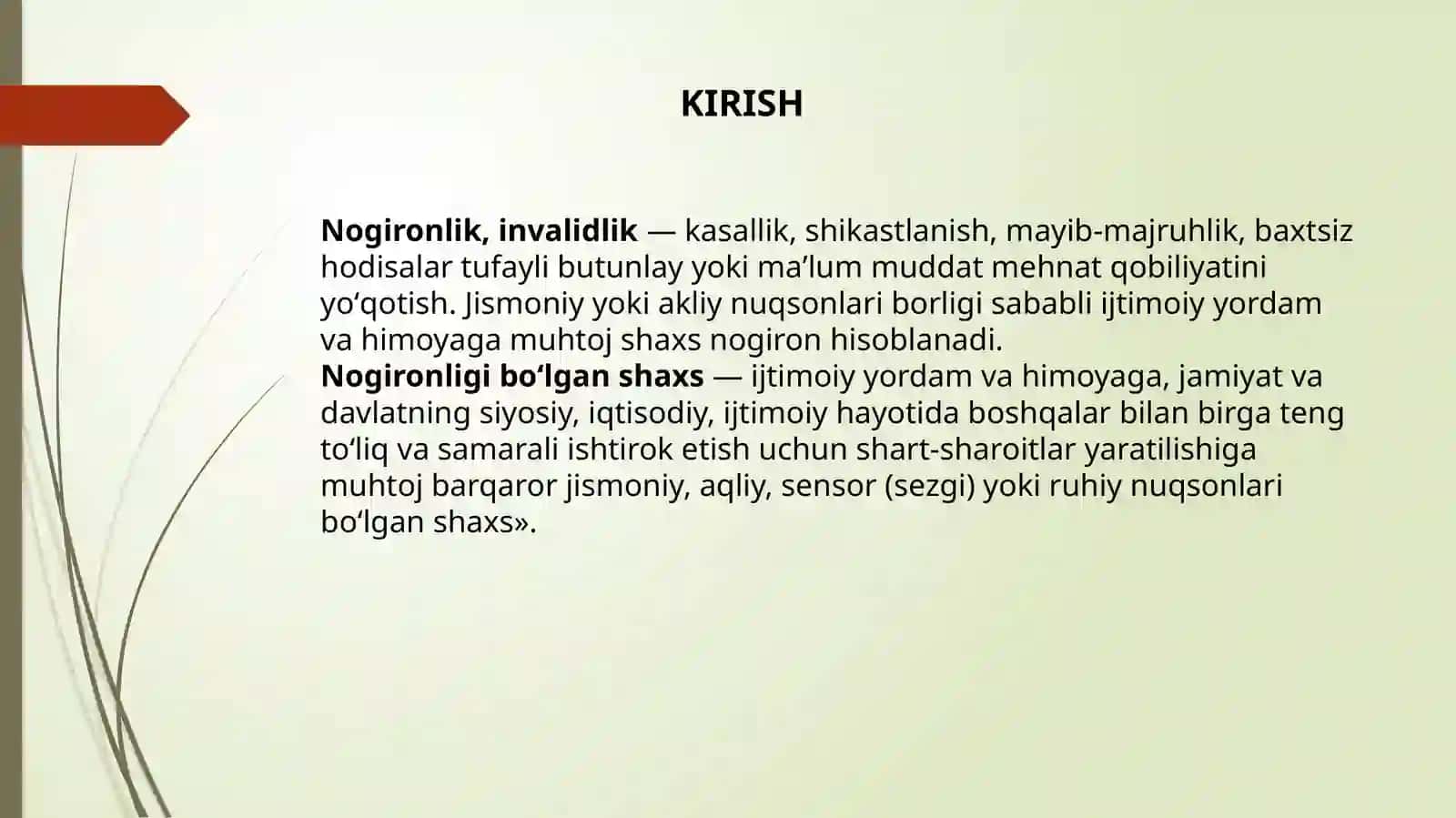 Nogironligi bor bolalar bilan ijtimoiy ish 3