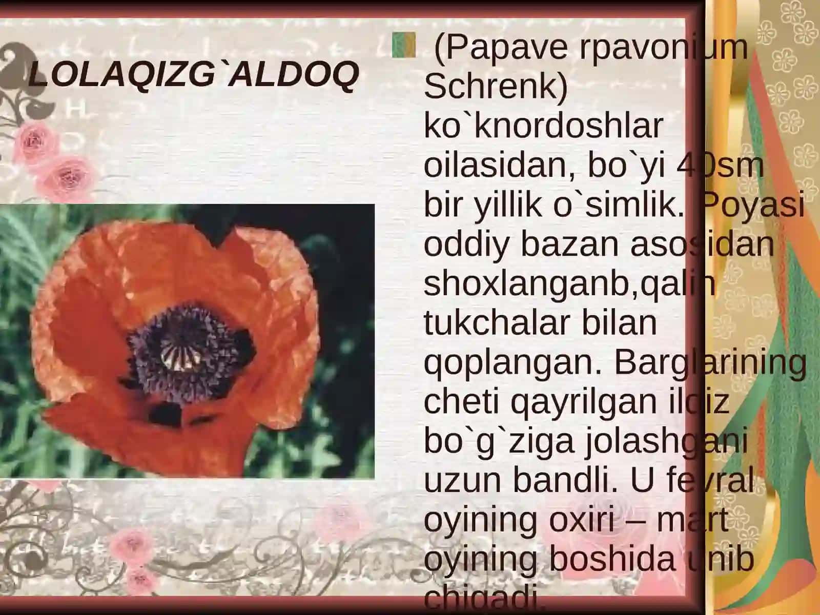 2-sinf Tasviriy san'at Bahoriy gullar dars taqdimoti 3