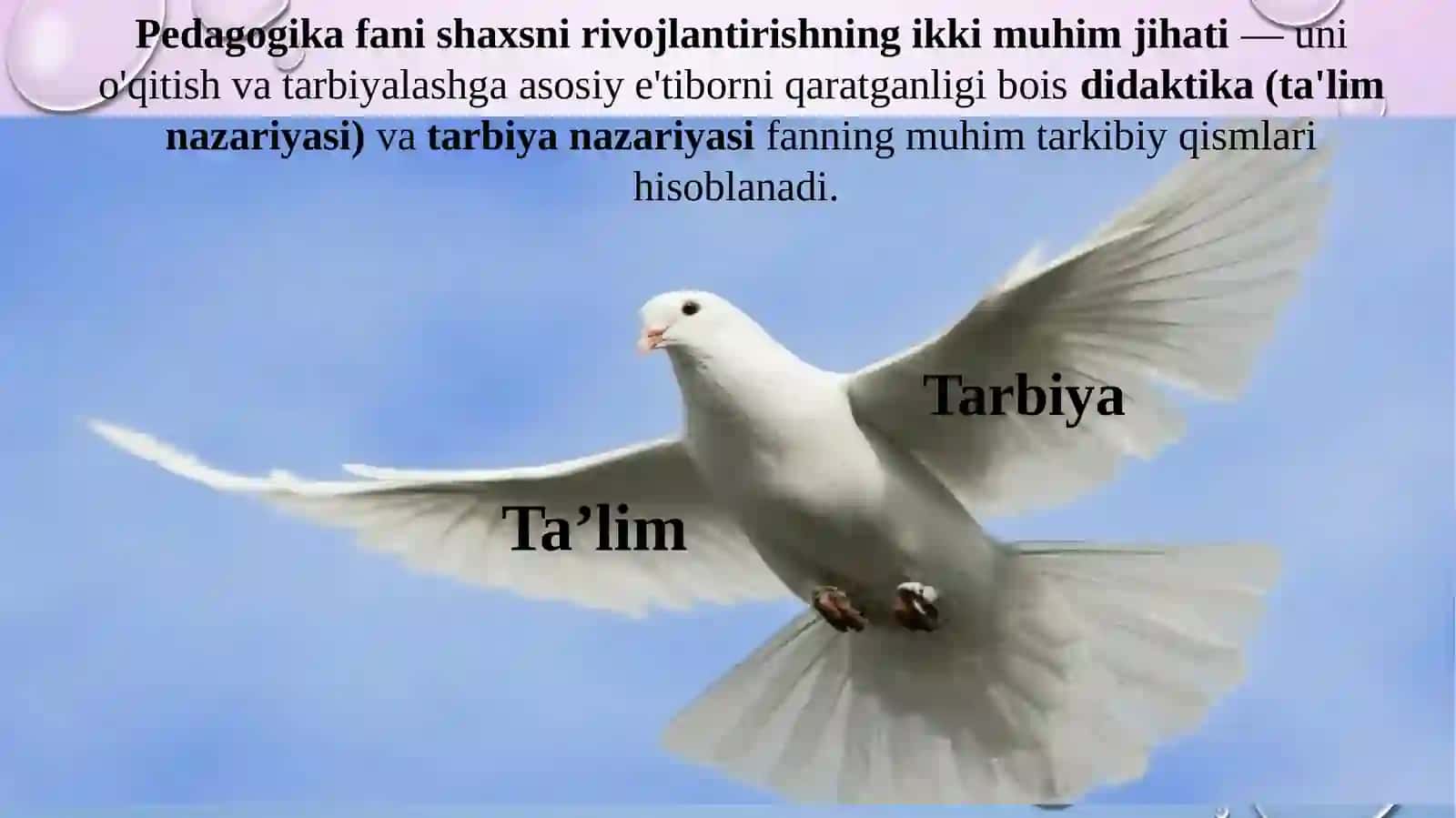 UMUMIY PEDAGOGIKA- TA’LIM-TARBIYA NAZARIYASI. UMUMIY PEDAGOGIKANING ILMIY TADQIQOT METODLARI 3