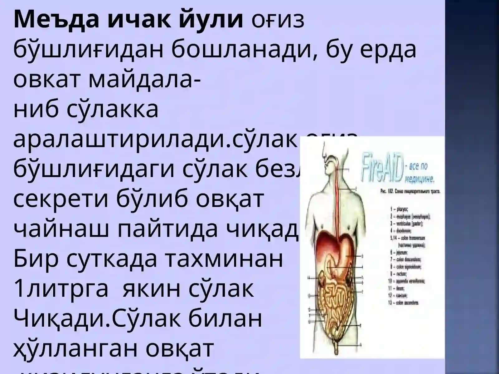 Овқат хазм қилиш системасини текшириш 3