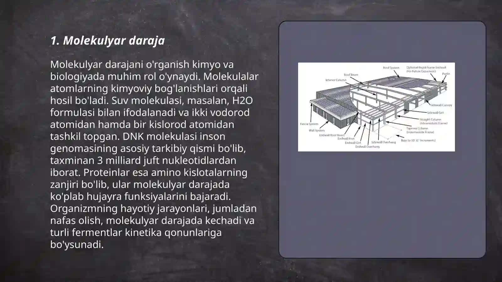 Biologik sistemalarning tuzilish darajalari 3