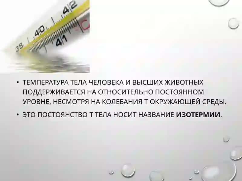 ВЛИЯНИЕ ТЕМПЕРАТУРЫ НА ОБМЕН ВЕЩЕСТВ И ТЕРМОРЕГУЛЯЦИЮ 3