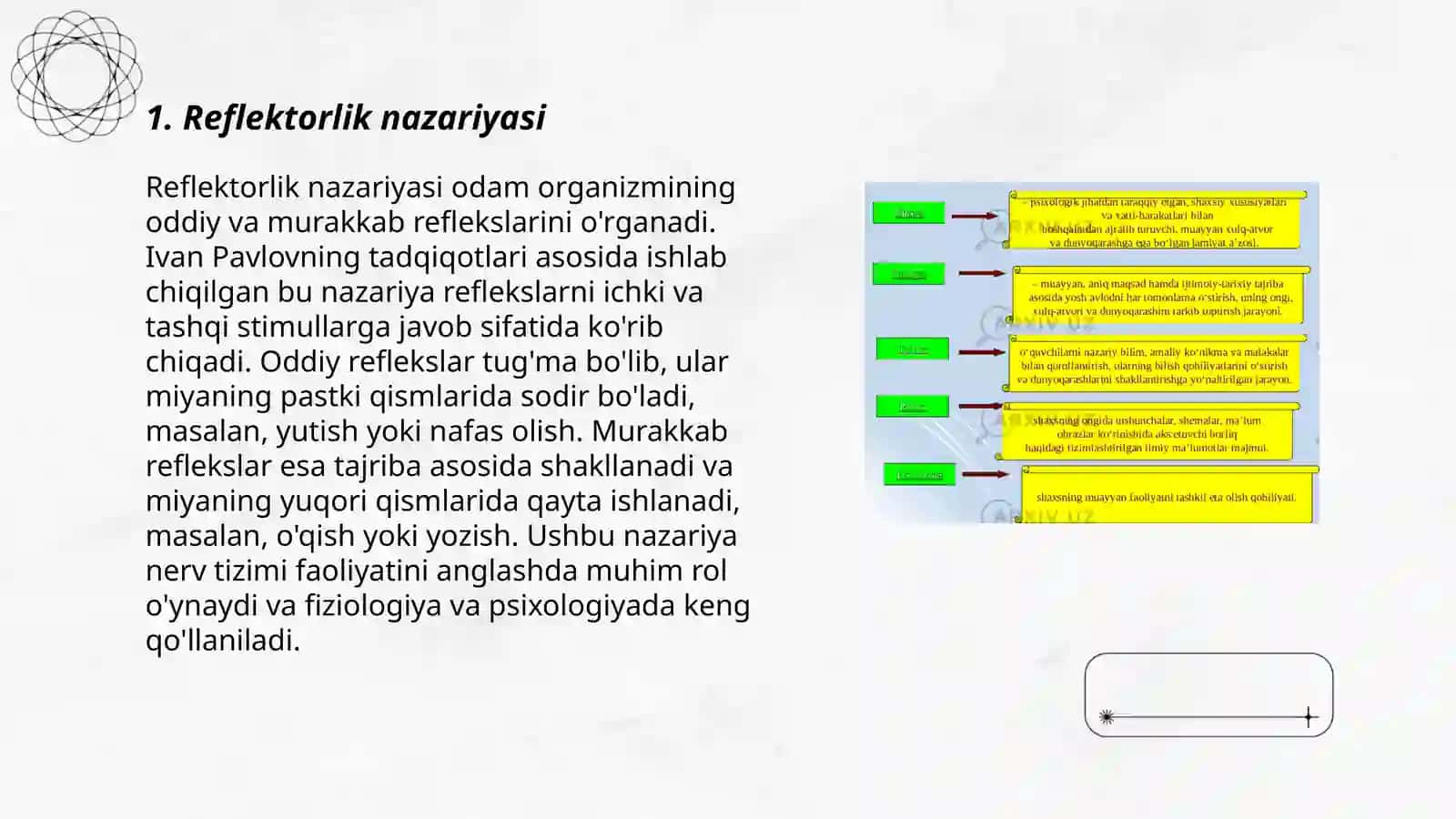 Psixologiyaning reflektorlik xarakteri 3