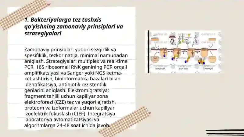 Samiqova Lobar 3