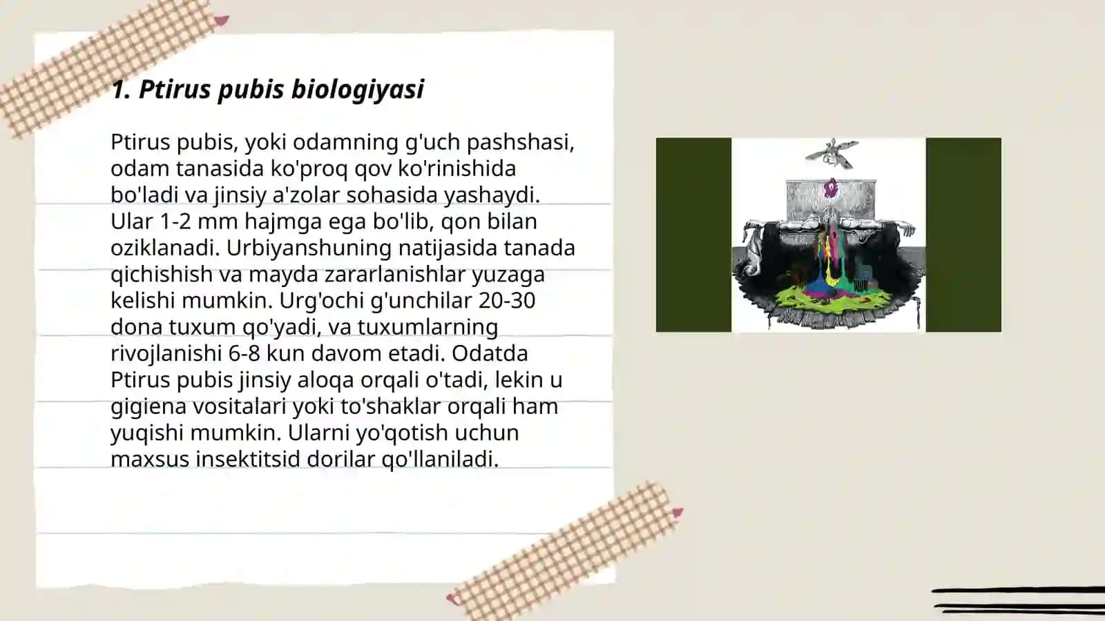 Ptirus pubis-qov biti 3