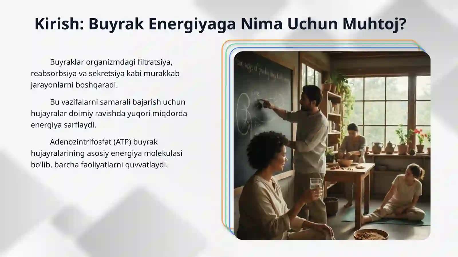 Buyrakni energiya bilan ta’minlanishining asosiy yo‘llari 3