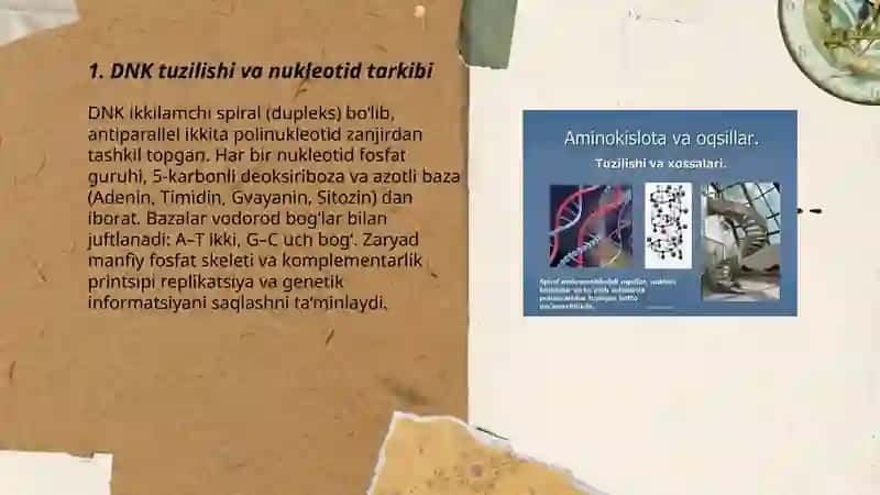 Nuklein kislotalar Va oqsillar biosintezi 3