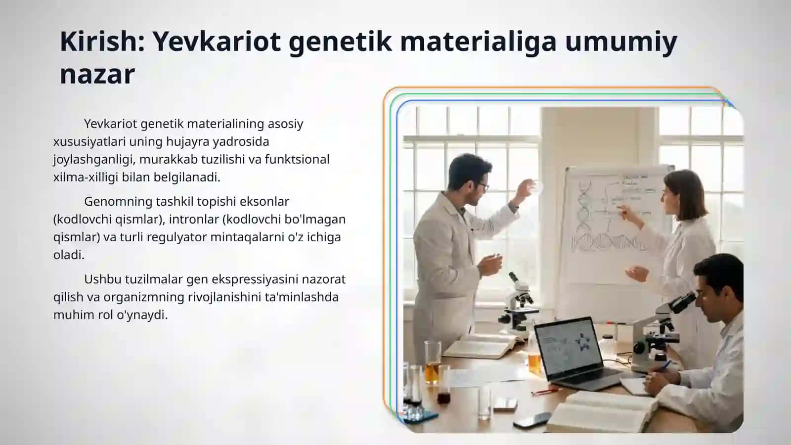 Eukariot hujayralar genlarining tuzilishi va funktsiyasi 3