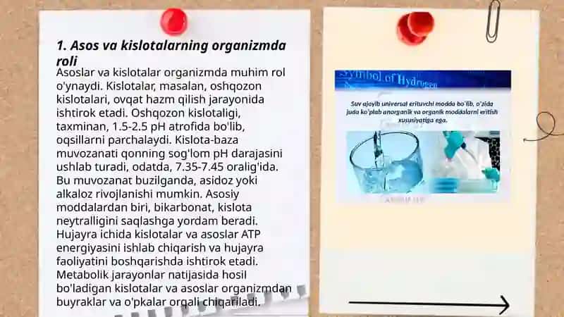 Organizmda kislota, ishqor balansini boshqaruvchi mehanizmlar 3