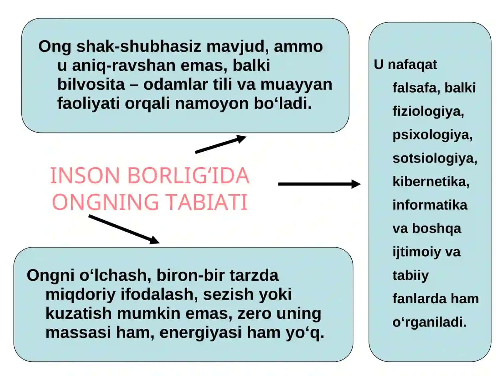 INSON BORLIG‘I 3