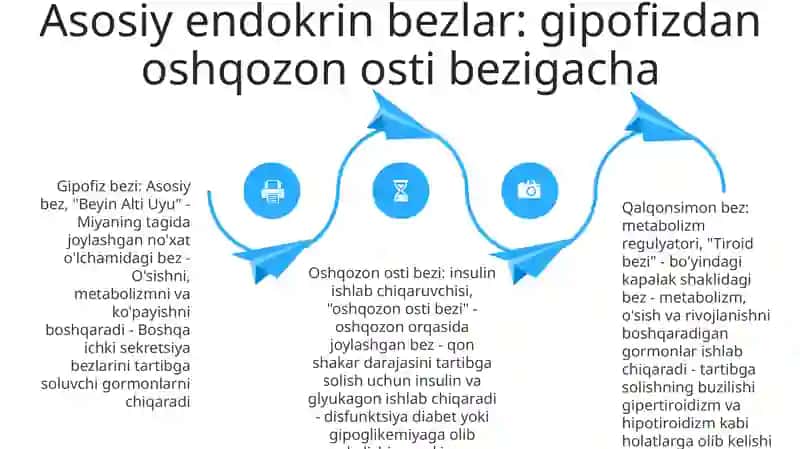 Endokrin Bezlar 3