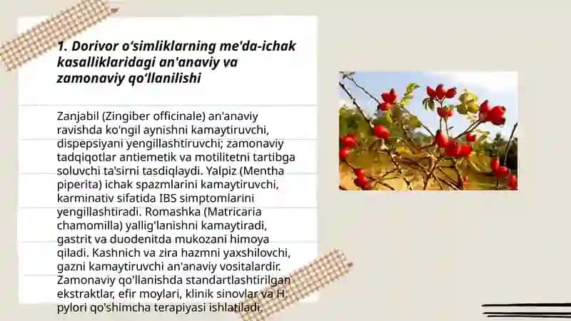 Me'da -ichak teri kasalliklarida qoʻllaniladigan dorivor oʻsimliklar 3