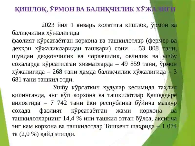 ЎРМОН ВА БАЛИҚЧИЛИК ХЎЖАЛИГИ 3
