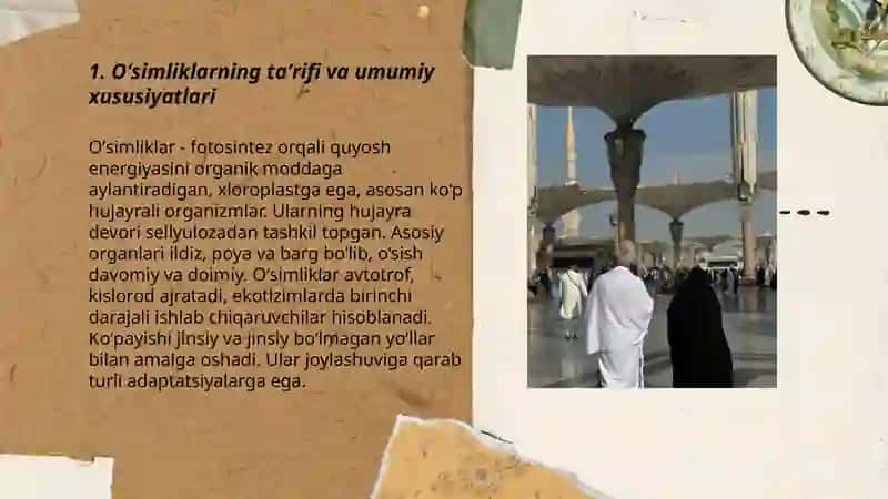 Oʻsimliklarning taʼrifi va umumiy xususiyatlari 3
