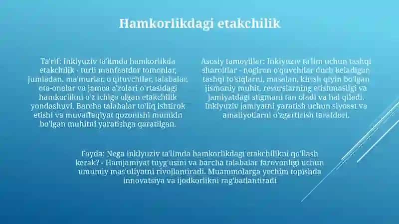 Alohida Yordam Ga Muhtoj Bolani Samarali Inklyuziyasi Uchun Tashqi Sharoitlari 3