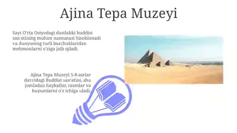 Ajina Tepa Muzeyi 3