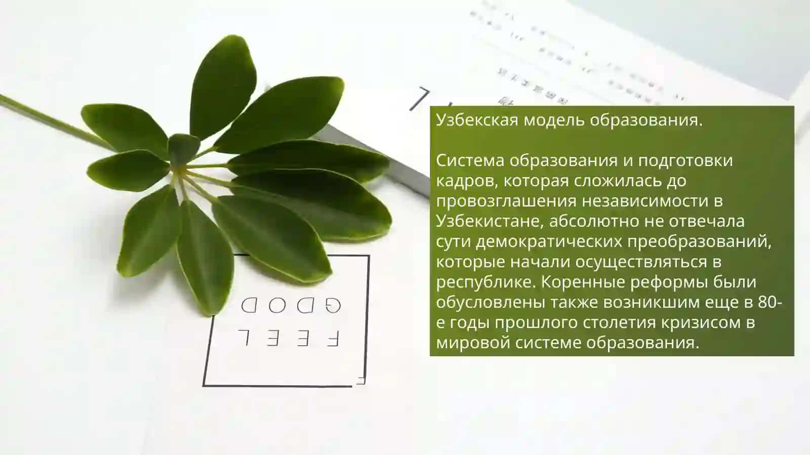 Образование в Узбекистане (нормативные акты) 3