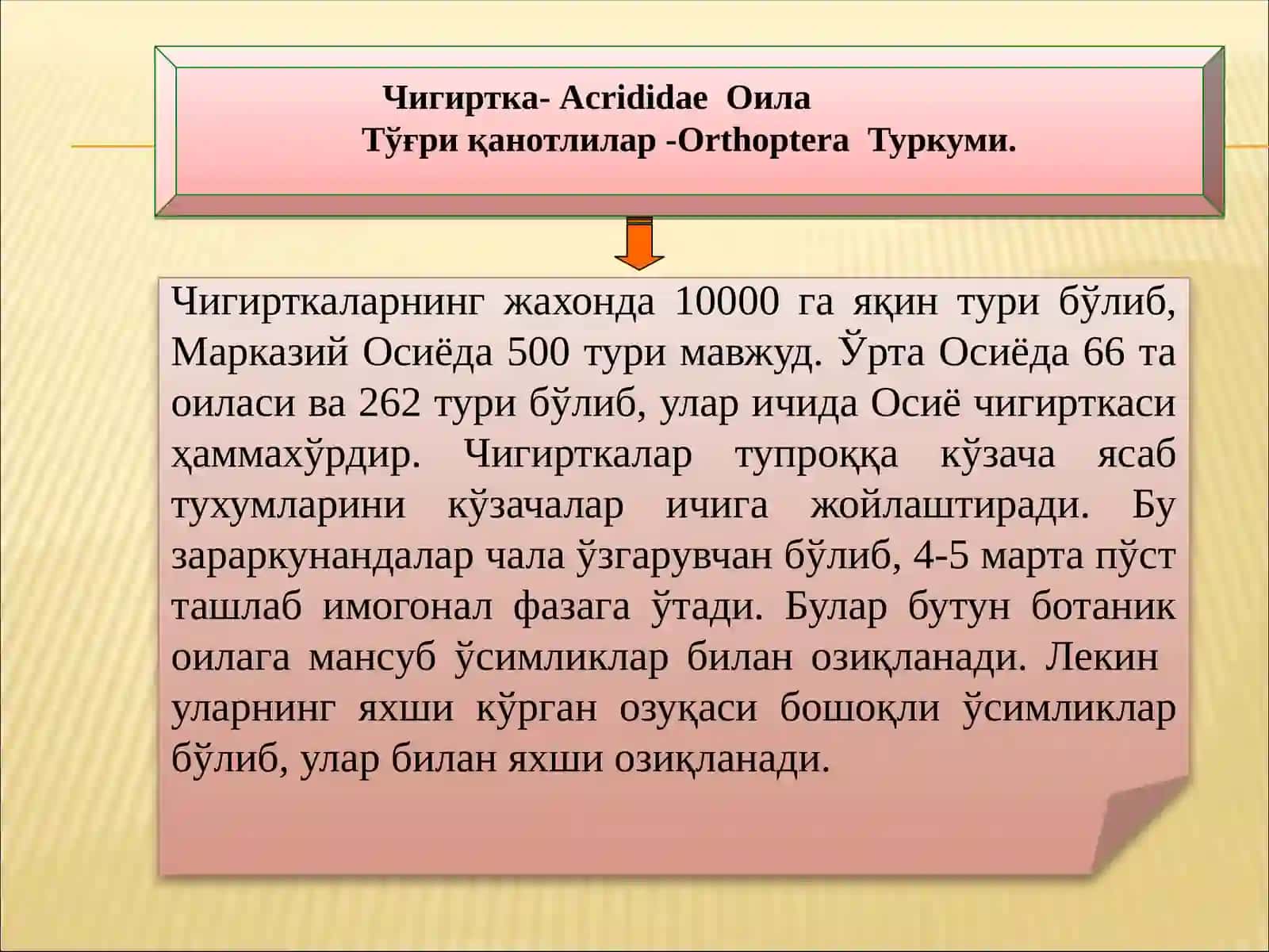 Чигирткаларнингжахонда10000 га яқин тури бўлиб,Марказий Осиёда 500 тури мавжуд. Ўрта Осиёда 66 та оиласи ва 262 тури бўлиб, улар ичида Осиё чигирткаси ҳаммахўрдир. Чигирткалар тупроққа кўзача ясаб тухумларини кўзачалар ичига жойлаштиради. Бу зараркунандалар чала ўзгарувчан бўлиб, 4-5 марта пўст ташлаб имогонал фазага ўтади. Булар бутун ботаник оилага мансуб ўсимликлар билан озиқланади. Лекин уларнинг яхши кўрган озуқаси бошоқли ўсимликлар бўлиб, улар билан яхши озиқланади 3