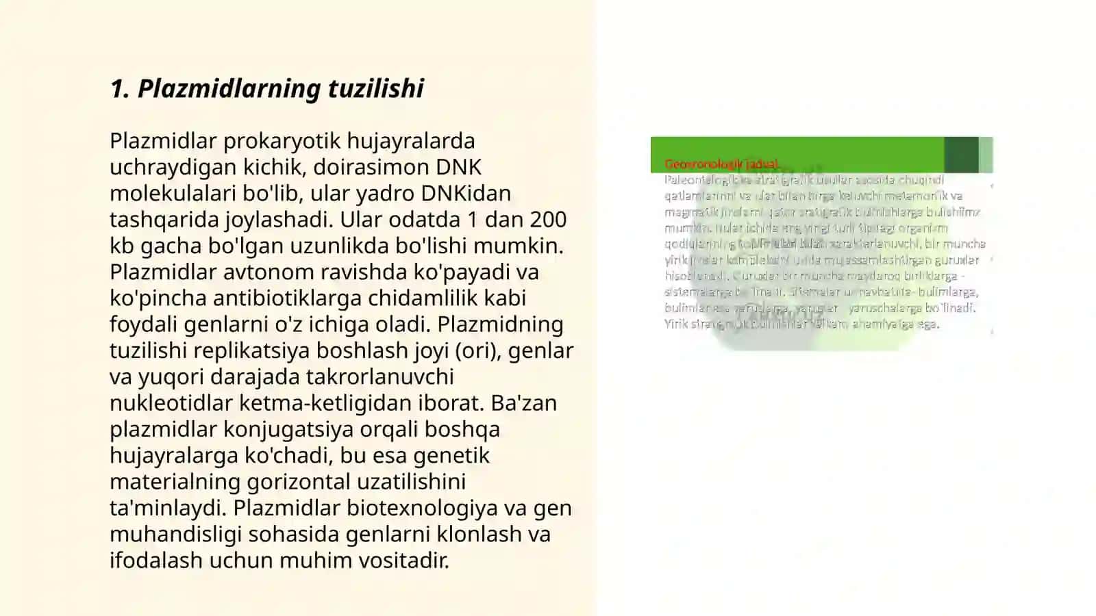 Plazmid va fag vektor toʻgʻrisidagi tushunchalar 3