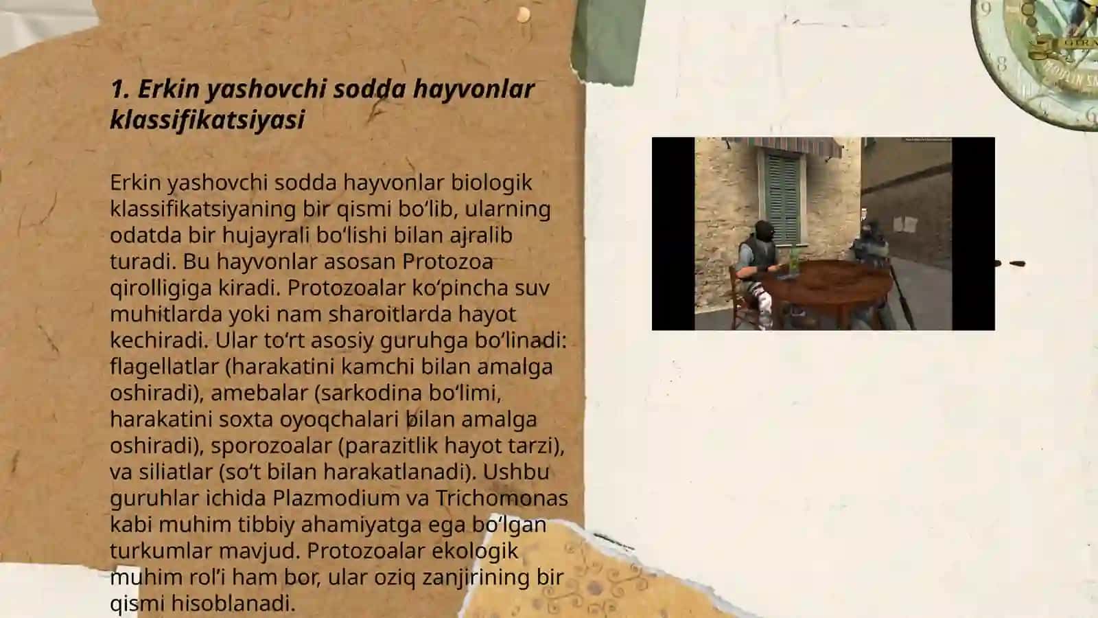 erkin yashovchi sodda xayvonlarning biologik xususiyatlari.ppt 3